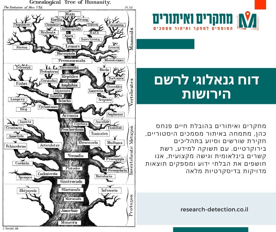 דוח גנאלוגי לרשם הירושות